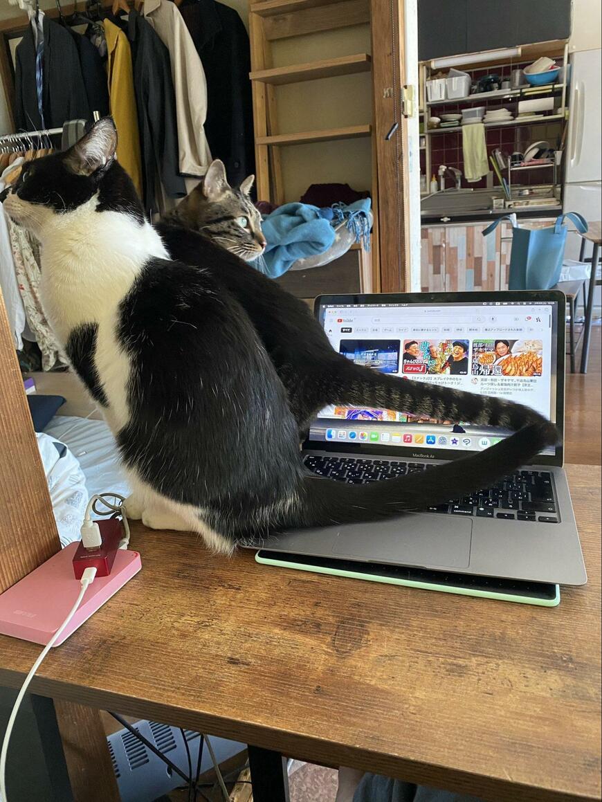 出所：@00shitemita