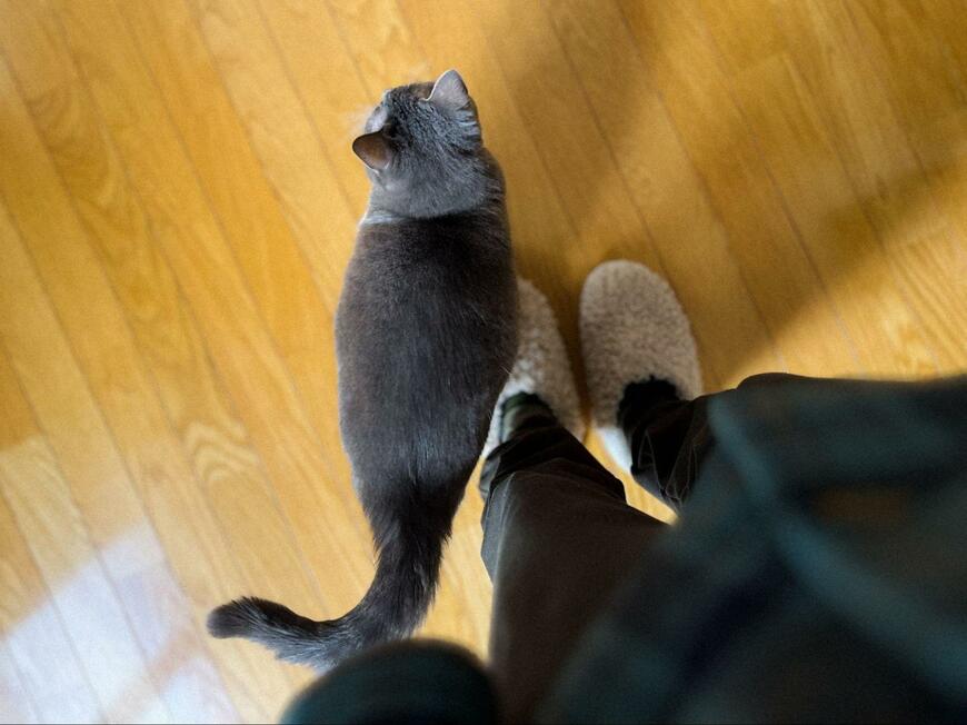 出所：@megthekitten