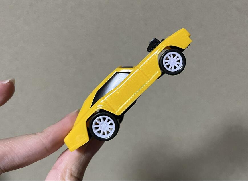 筆者撮影（セリア、おでかけミニカーケース）