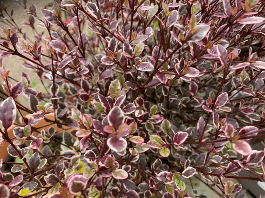 Joe Kuis/shutterstock.com