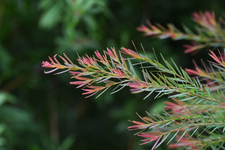 undefined undefined/istockphoto.com