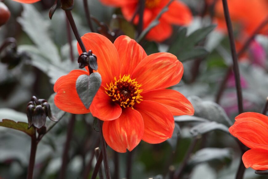 Alex Manders/shutterstock.com