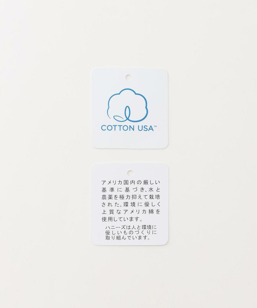 ハニーズ、ポケモン/ゆるTシャツ画像