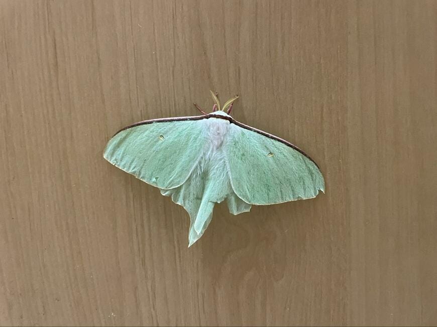 投稿の画像