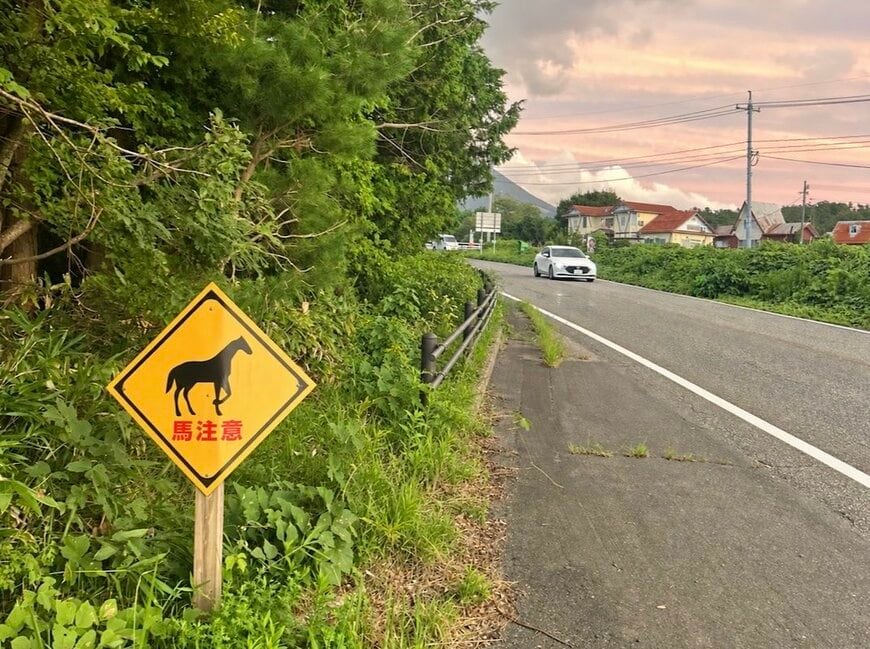 道路脇に注目