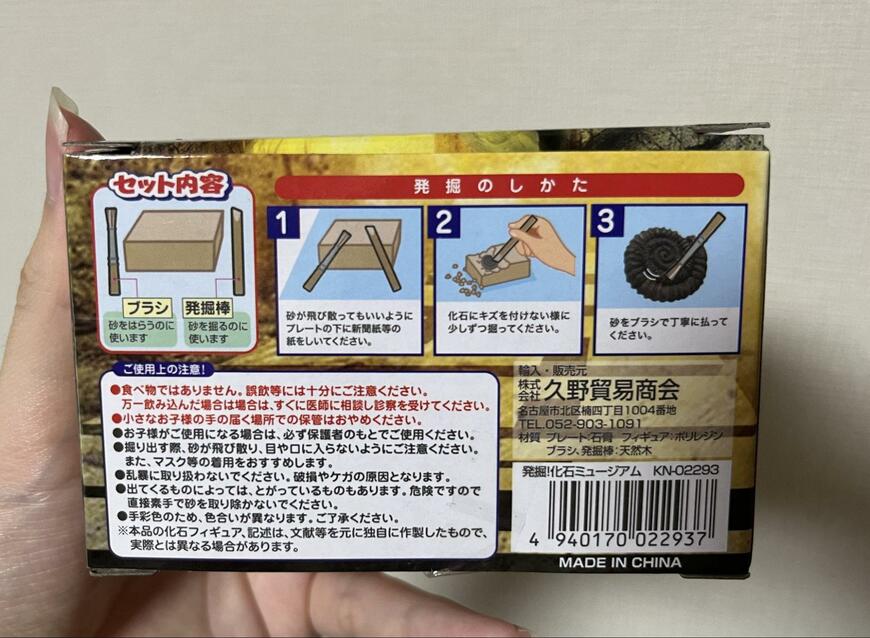 セリア、発掘！化石ミュージアム画像