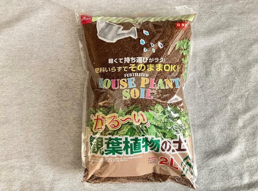 ミニ観葉キューブと観葉植物の土で春植えアスパラをお迎え