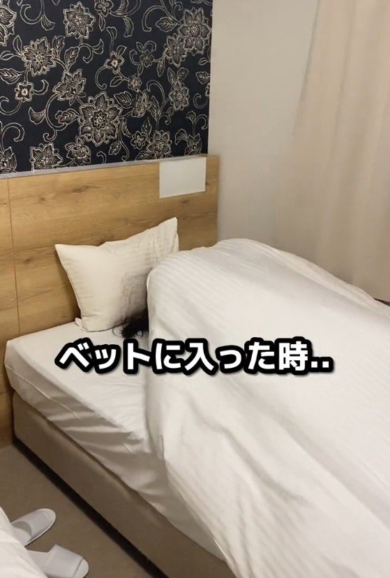 ベッドに入った女性
