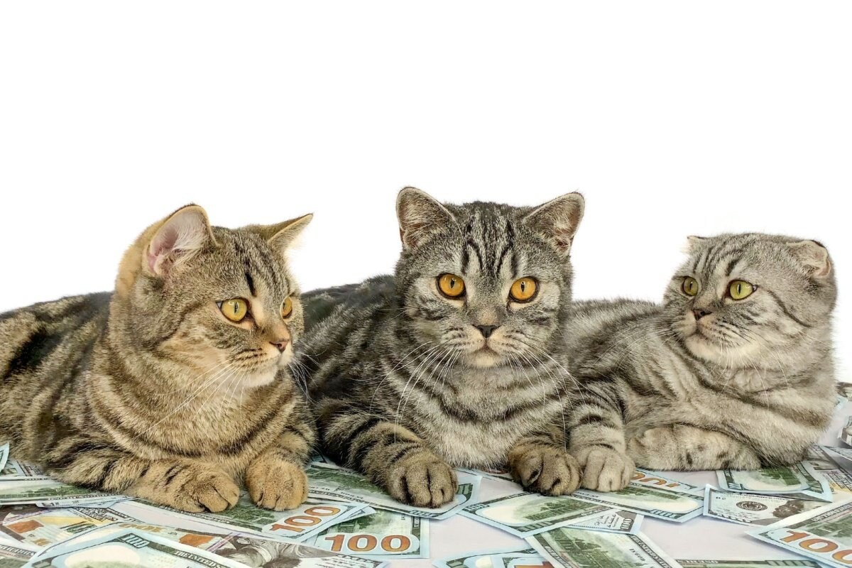 厚生年金「月16万円以上」は平均より多いか少ないか?年金振込通知書も確認【2024年度は2.7%増】