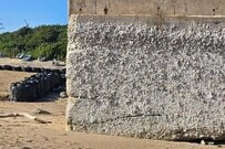 【白い部分まで海でした】地震によって変化した能登の海に目を疑う　「本当に恐ろしい」「人間の力では敵わない」