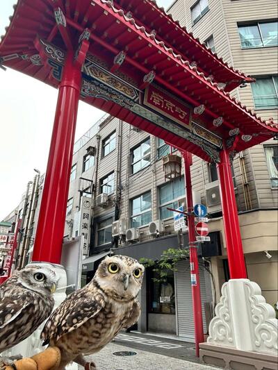 投稿写真のワンシーン