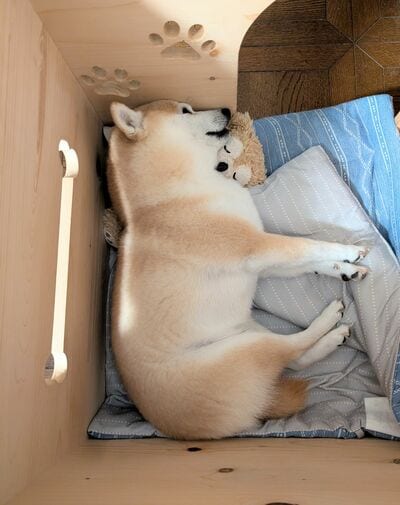 目が完全に開いている!?
