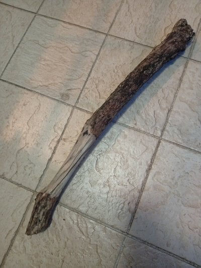 投稿の画像