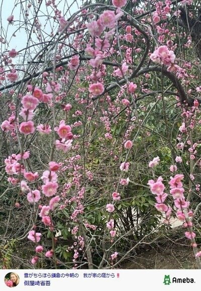 假屋崎省吾の公式ブログ投稿