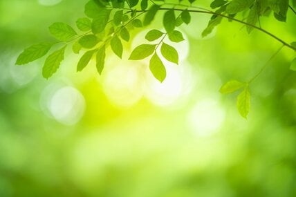 75歳以上世帯の平均貯蓄は2392万円。年金だけでは足りない？シニアが働き続ける理由と資産寿命