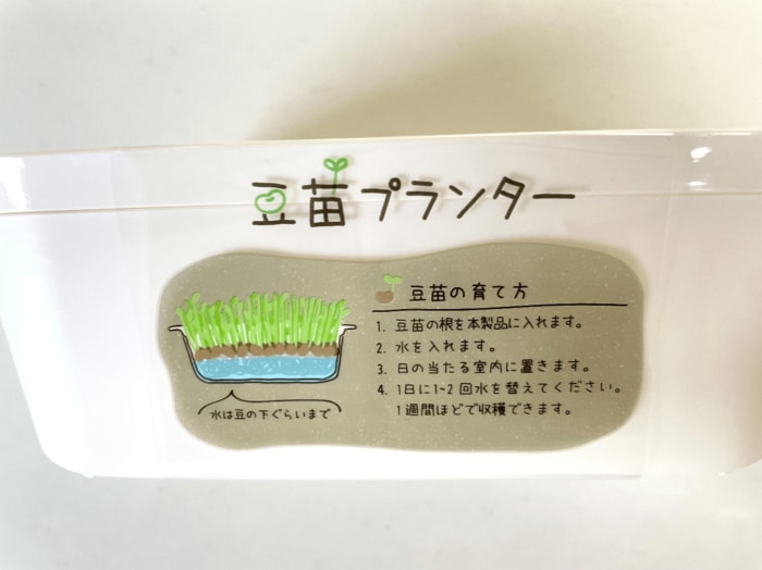 豆苗の育て方がイラストつきで書いてあります