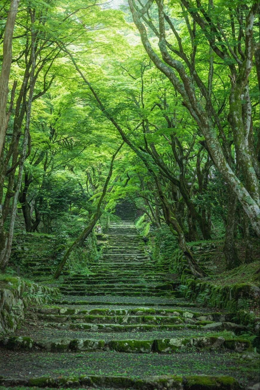 【滋賀県】映画の世界に入り込んだような絶景に見入ってしまう　幻想的な1枚に「ぜひ行ってみたい」