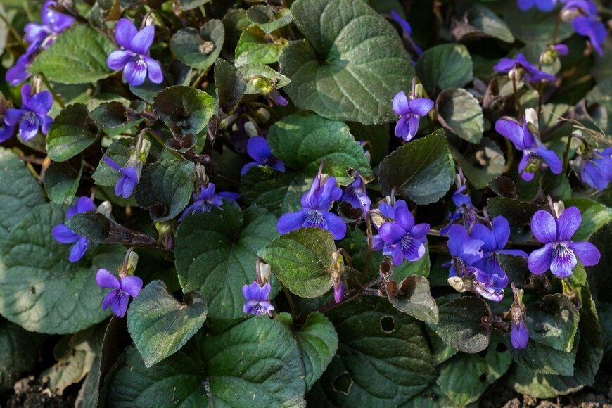 Meindert van der Haven/istockphoto.com