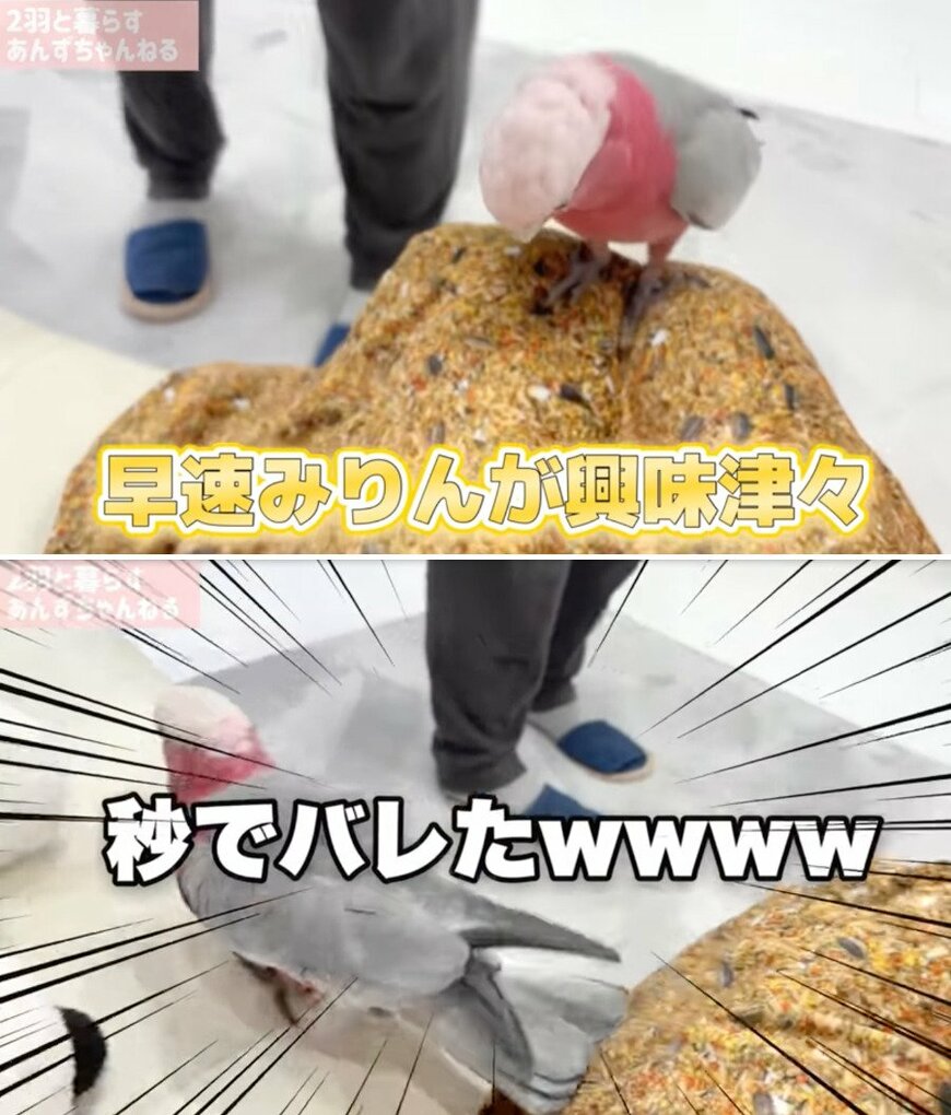 出所：@anz_omomiri