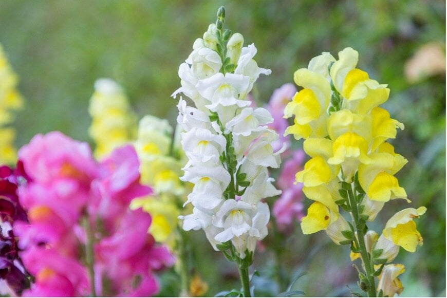 phanthit/istockphoto.com