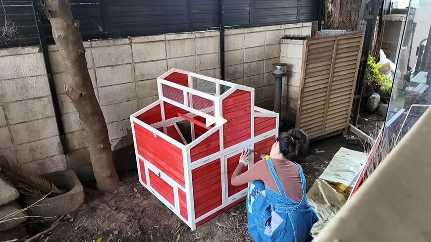 出所：森泉のYouTube（@IZOOMIChannel）参照日：2025年11月5日