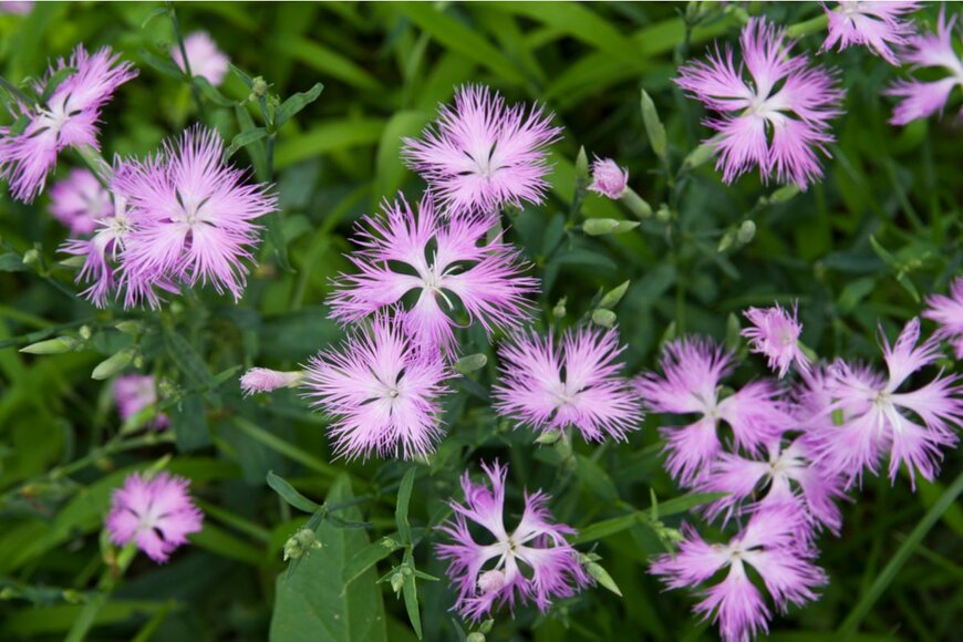 zzz555zzz/shutterstock.com