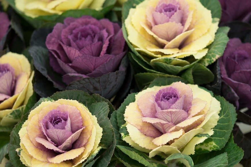 y-studio/istockphoto.com