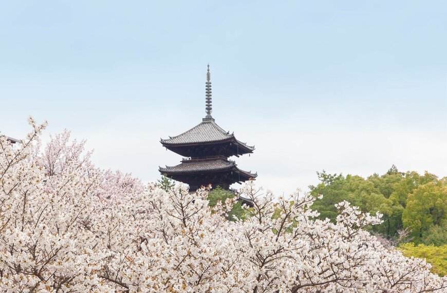 EvergreenPlanet/istockphoto.com