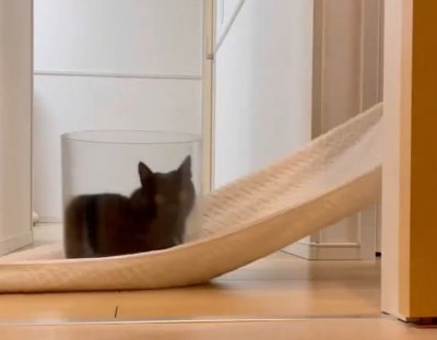 出所：@Teagle_Noir