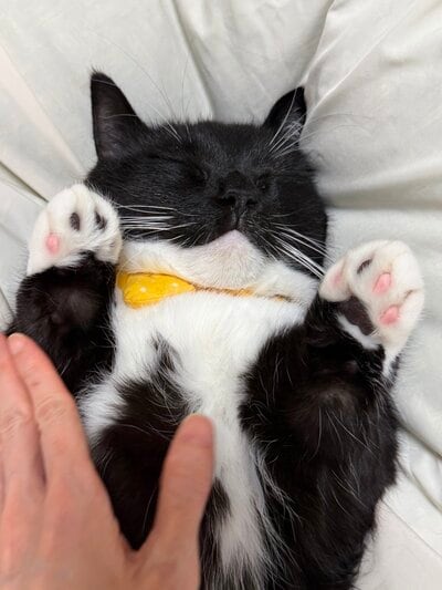 出所：@unicouniuni3