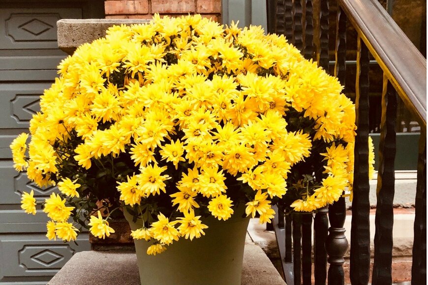 Photo By Kathy Feeney/istockphoto.com