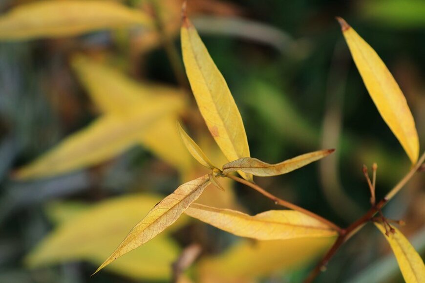 写真：筆者撮影