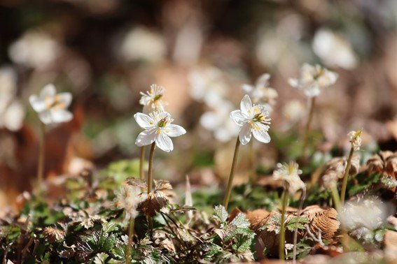 写真：筆者撮影
