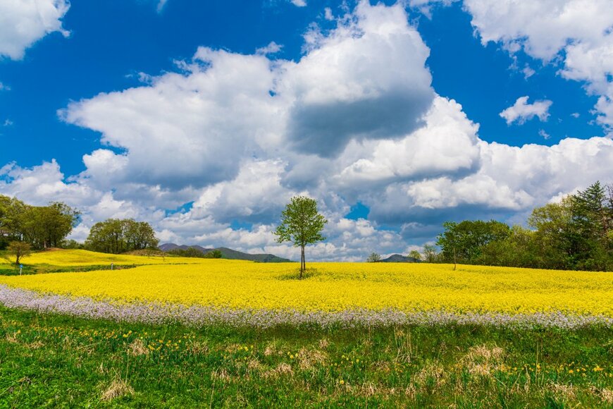 KazT/shutterstock.com