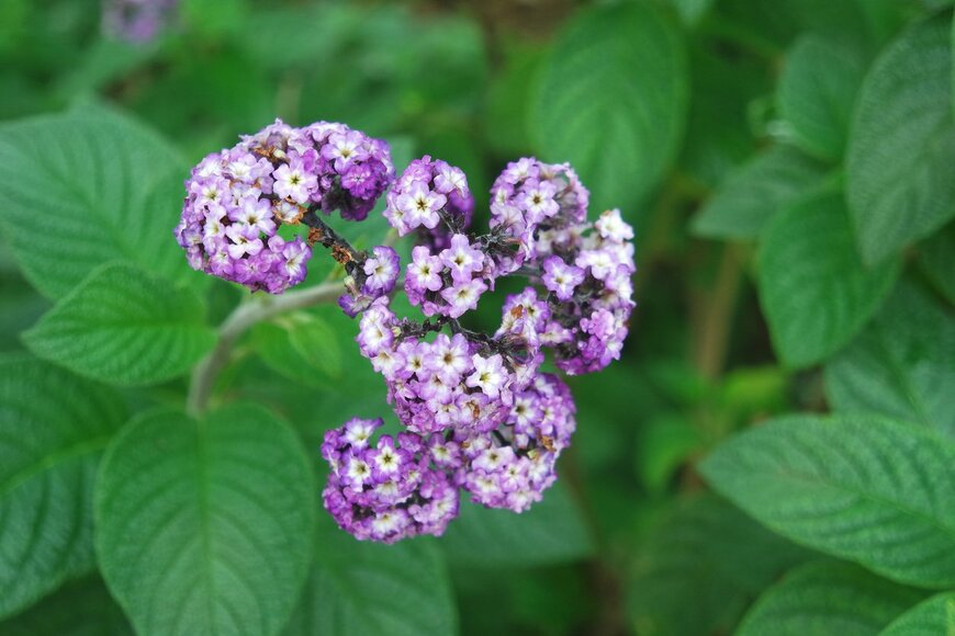 Tessa57/istockphoto.com