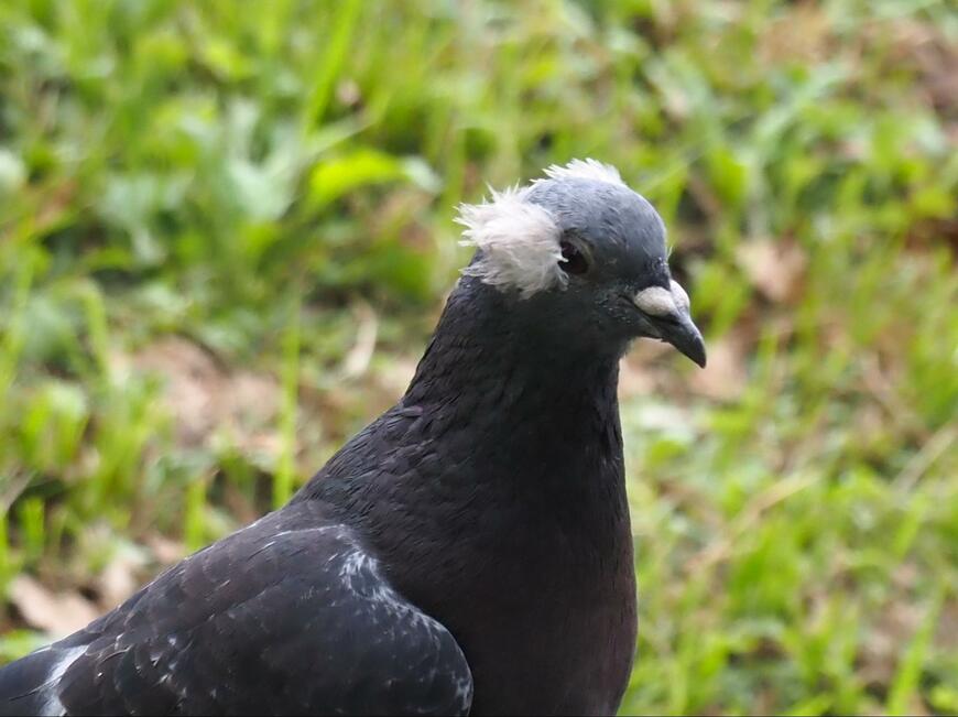 出所：@chunchu0803