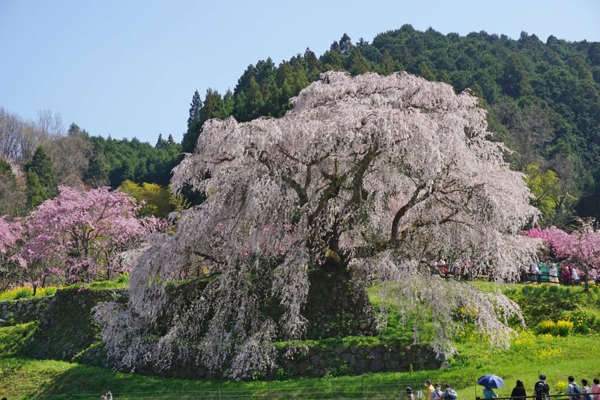 sow-chika/shutterstock.com