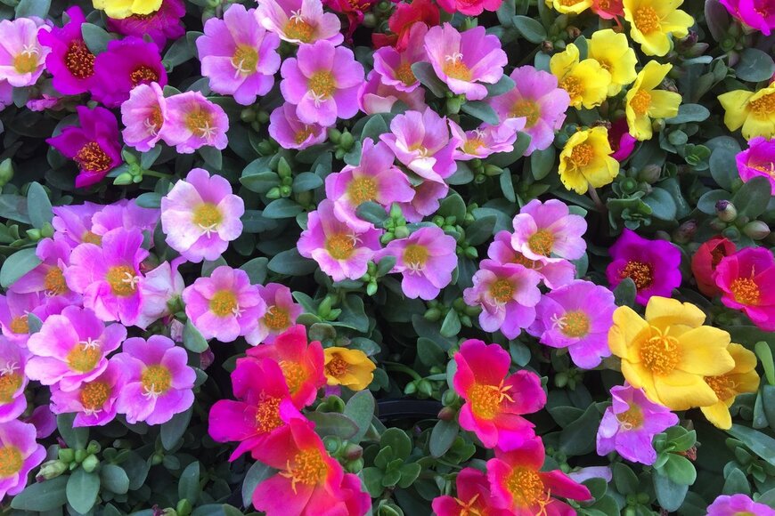 smileimage9/shutterstock.com