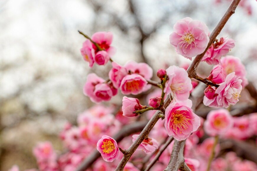 Toru Kimura/istockphoto.com