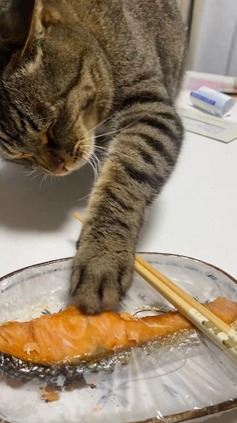 出所：@unimaru8kg