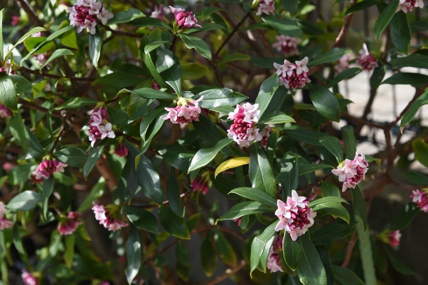 undefined undefined/istockphoto.com