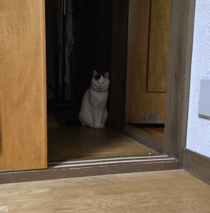 出所：@sironezumi77