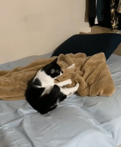 出所：@00shitemita