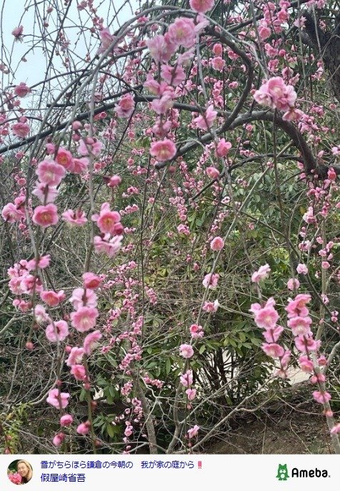 出所：假屋崎省吾の公式ブログ　 参照日：2026年2月13日