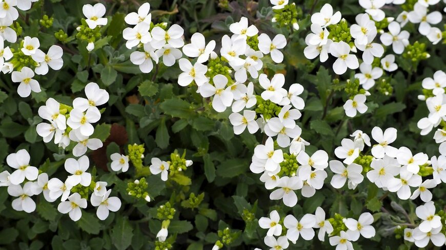 NataliSel/shutterstock.com