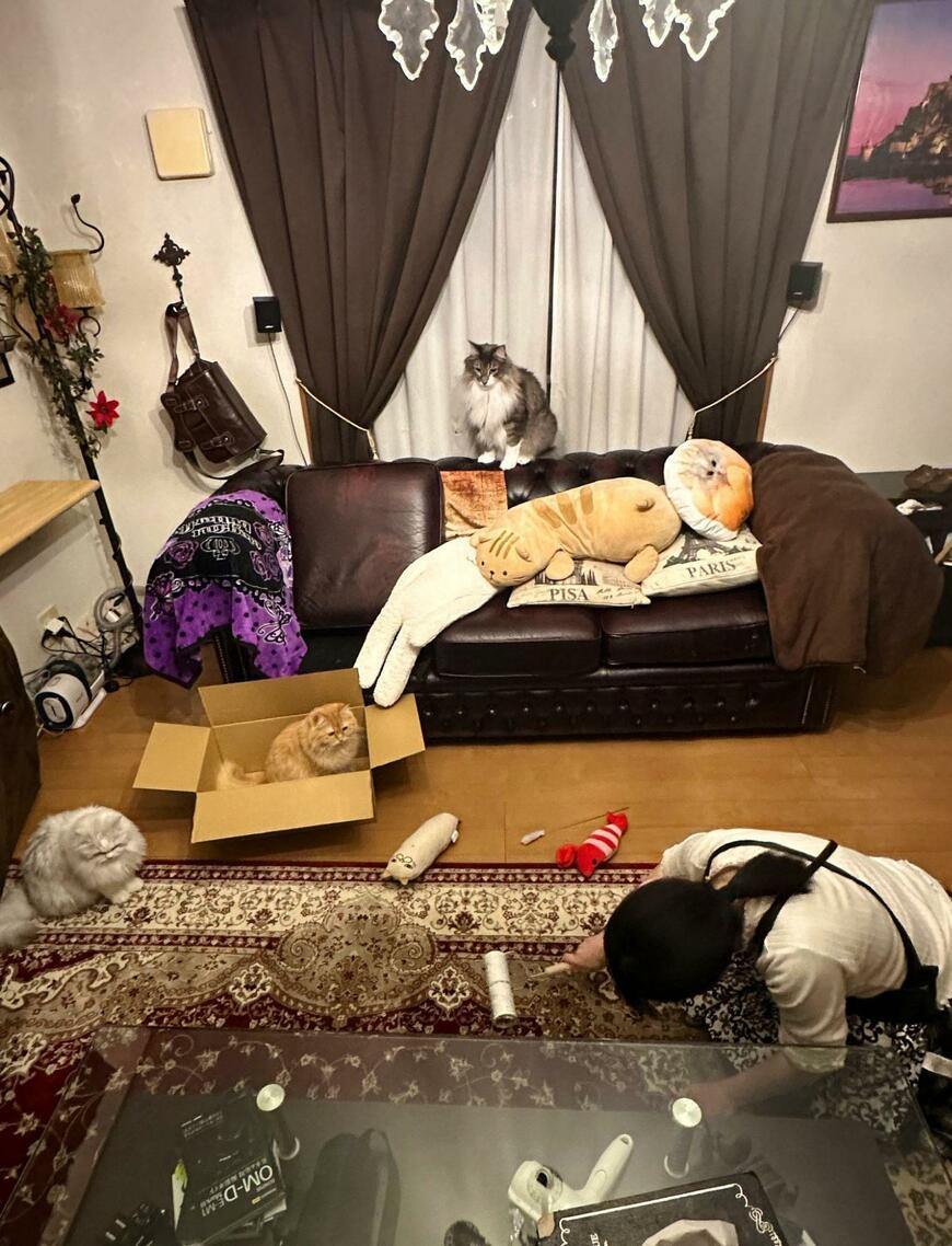 出所：@NEKOLAND13