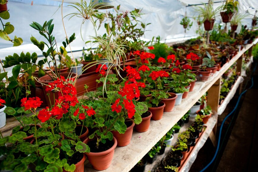 format35/istockphoto.com