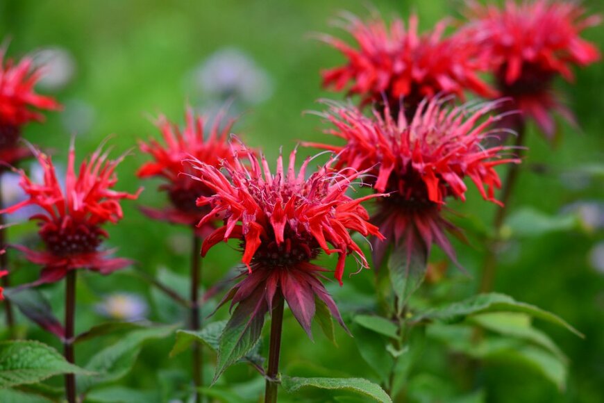 Vahan Abrahamyan/shutterstock.com