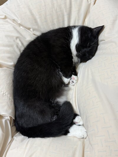 出所：@unicouniuni3