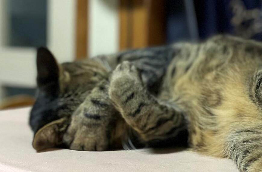 出所：@luna7taka9